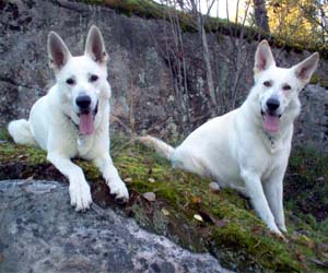 Rommi & Beni