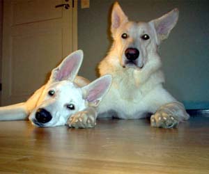 Rommi & Beni  