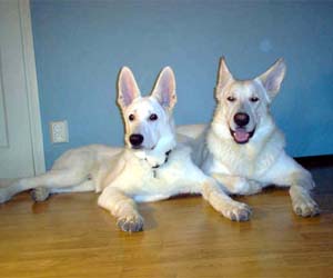 Rommi & Beni  